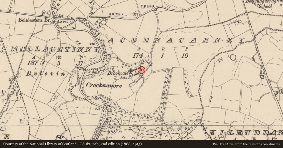 Ordnance Survey six-inch map, 2nd edition (1888–1915) covering the location of Bellcote Of Brookvale, Mid Ulster, with a pin at the register's coordinates