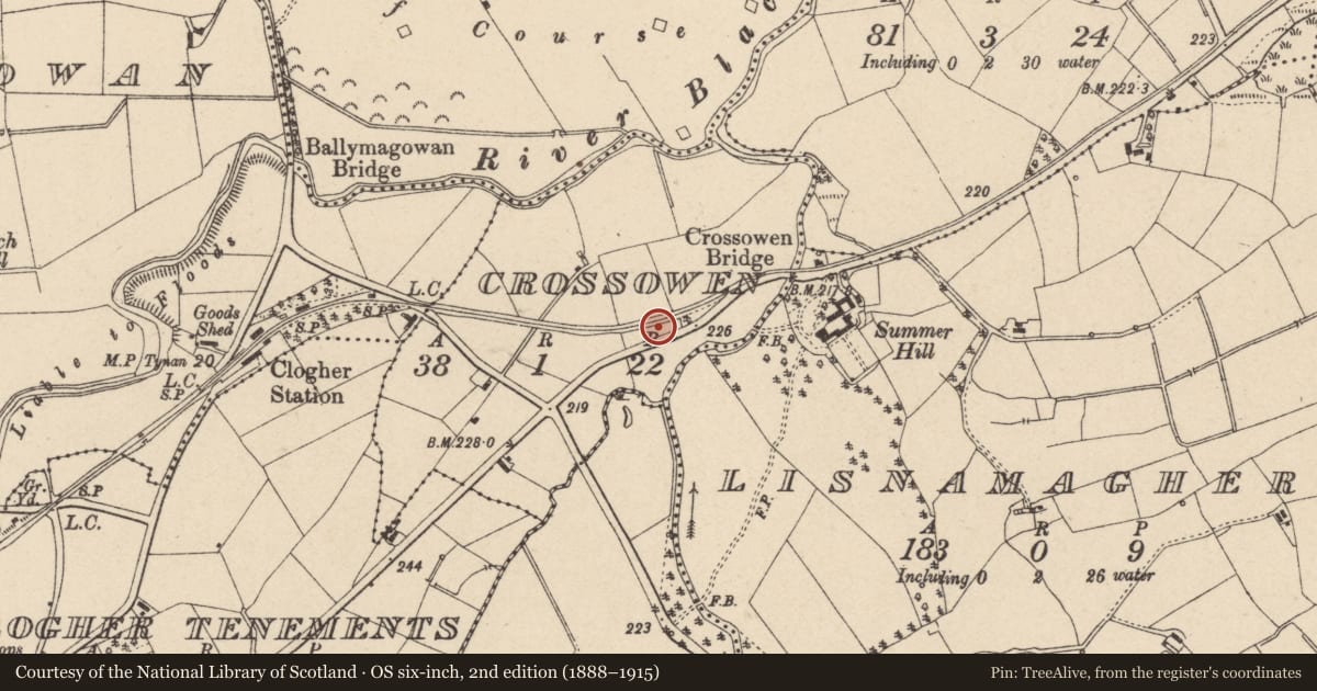 Ordnance Survey six-inch map, 2nd edition (1888–1915) covering the location of Old Railway Goods Shed, Mid Ulster, with a pin at the register's coordinates