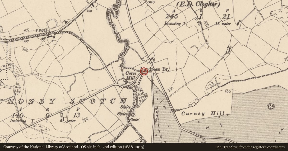 Ordnance Survey six-inch map, 2nd edition (1888–1915) covering the location of Fardross Bridge, Mid Ulster, with a pin at the register's coordinates