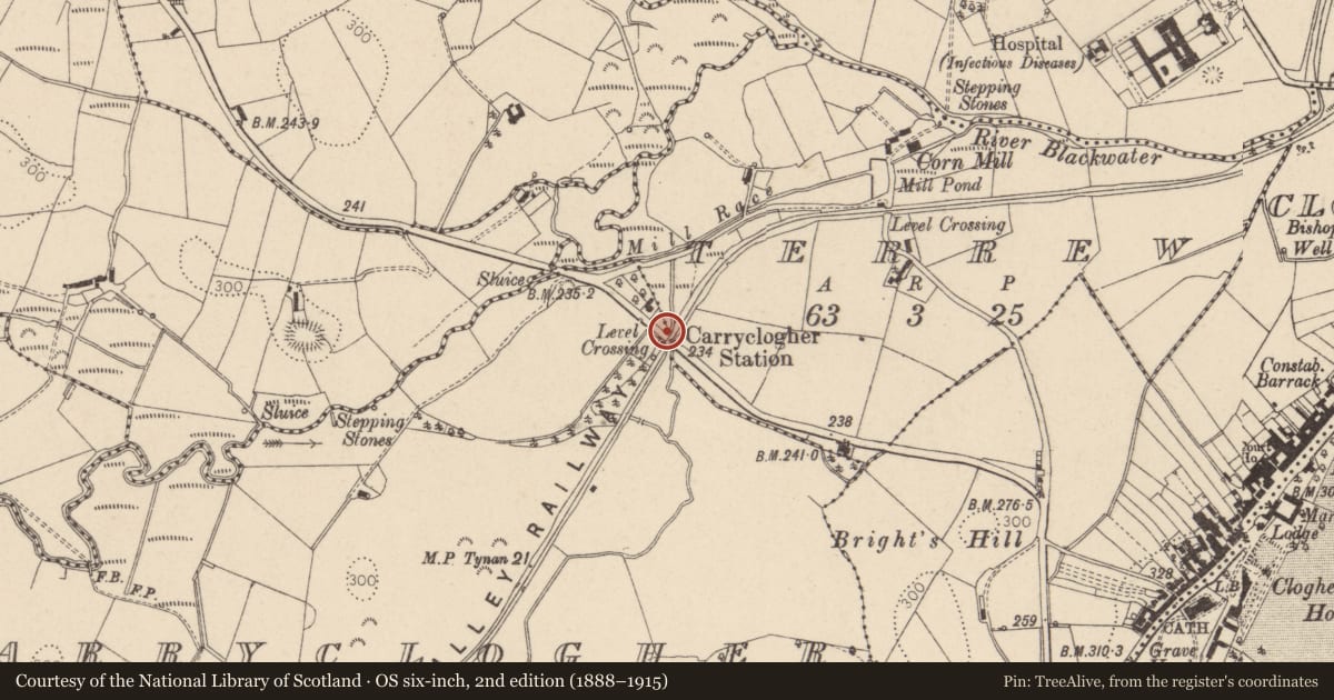 Ordnance Survey six-inch map, 2nd edition (1888–1915) covering the location of BRIDGE, Mid Ulster, with a pin at the register's coordinates