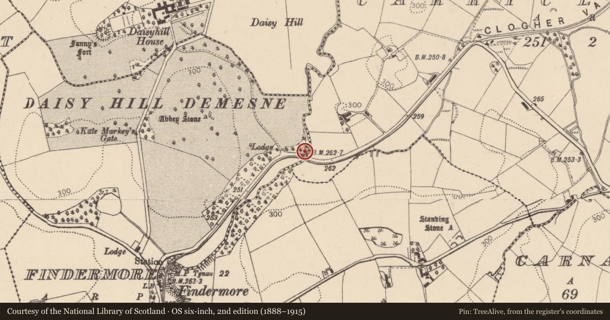 Ordnance Survey six-inch map, 2nd edition (1888–1915) covering the location of BRIDGE, Mid Ulster, with a pin at the register's coordinates