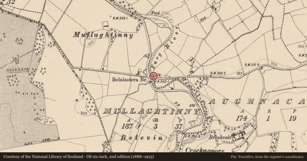 Ordnance Survey six-inch map, 2nd edition (1888–1915) covering the location of Belalastera Bridge, Mid Ulster, with a pin at the register's coordinates