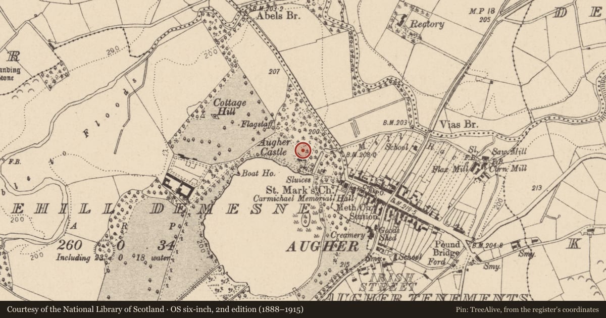 Ordnance Survey six-inch map, 2nd edition (1888–1915) covering the location of Augher Castle, Mid Ulster, with a pin at the register's coordinates