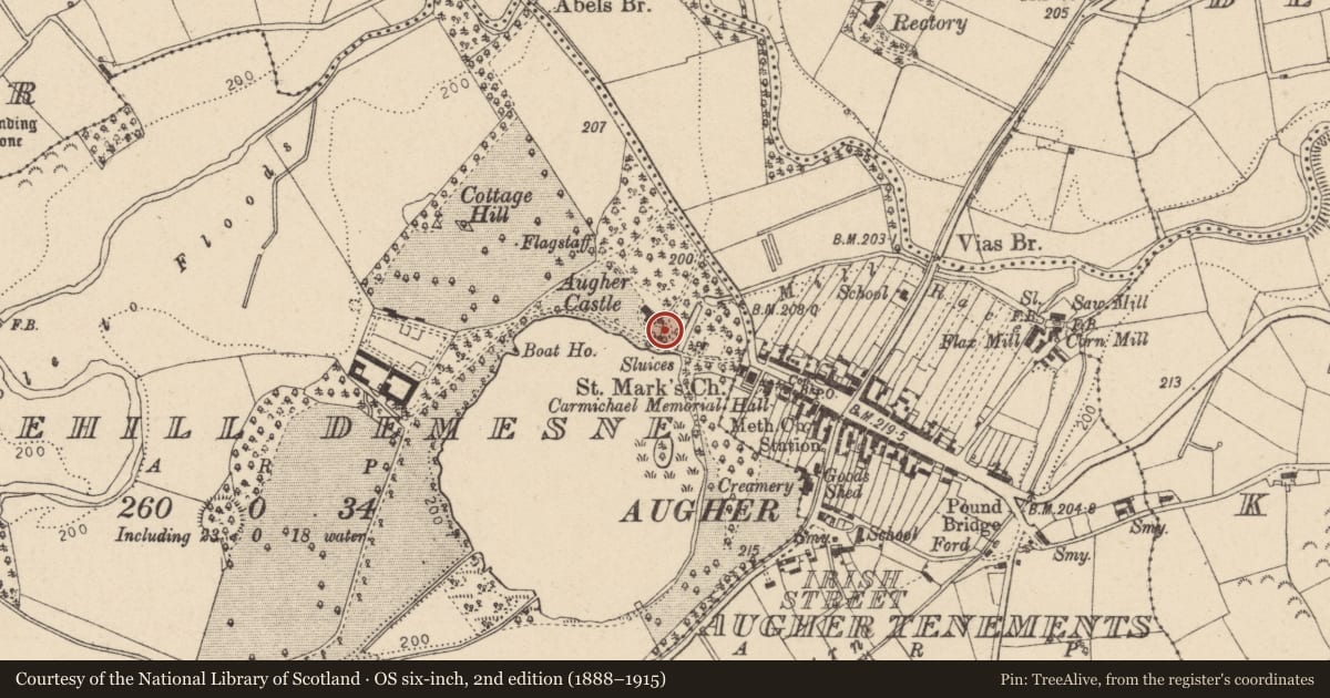 Ordnance Survey six-inch map, 2nd edition (1888–1915) covering the location of Bawn Tower, Mid Ulster, with a pin at the register's coordinates