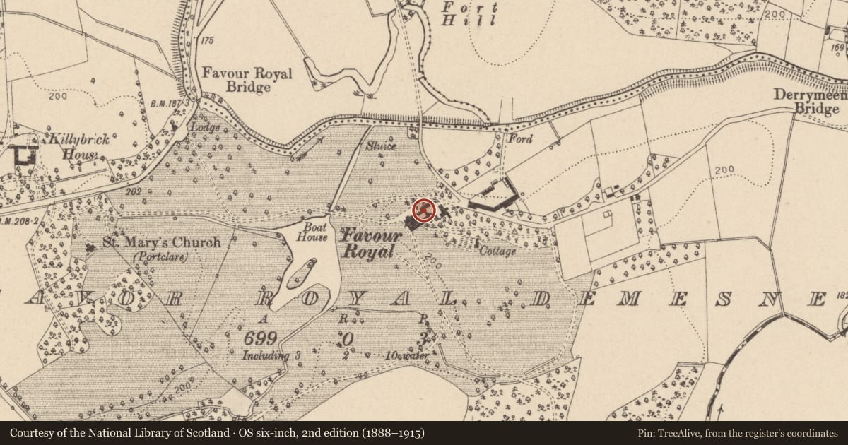 Ordnance Survey six-inch map, 2nd edition (1888–1915) covering the location of Favor Royal, Favour Royal, Mid Ulster, with a pin at the register's coordinates