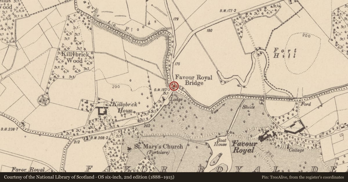 Ordnance Survey six-inch map, 2nd edition (1888–1915) covering the location of BRIDGE, Mid Ulster, with a pin at the register's coordinates