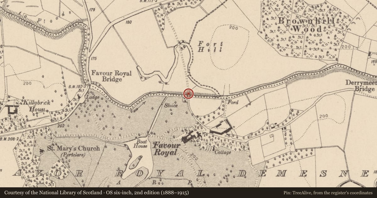 Ordnance Survey six-inch map, 2nd edition (1888–1915) covering the location of The N bridge, Favour Royal, Mid Ulster, with a pin at the register's coordinates
