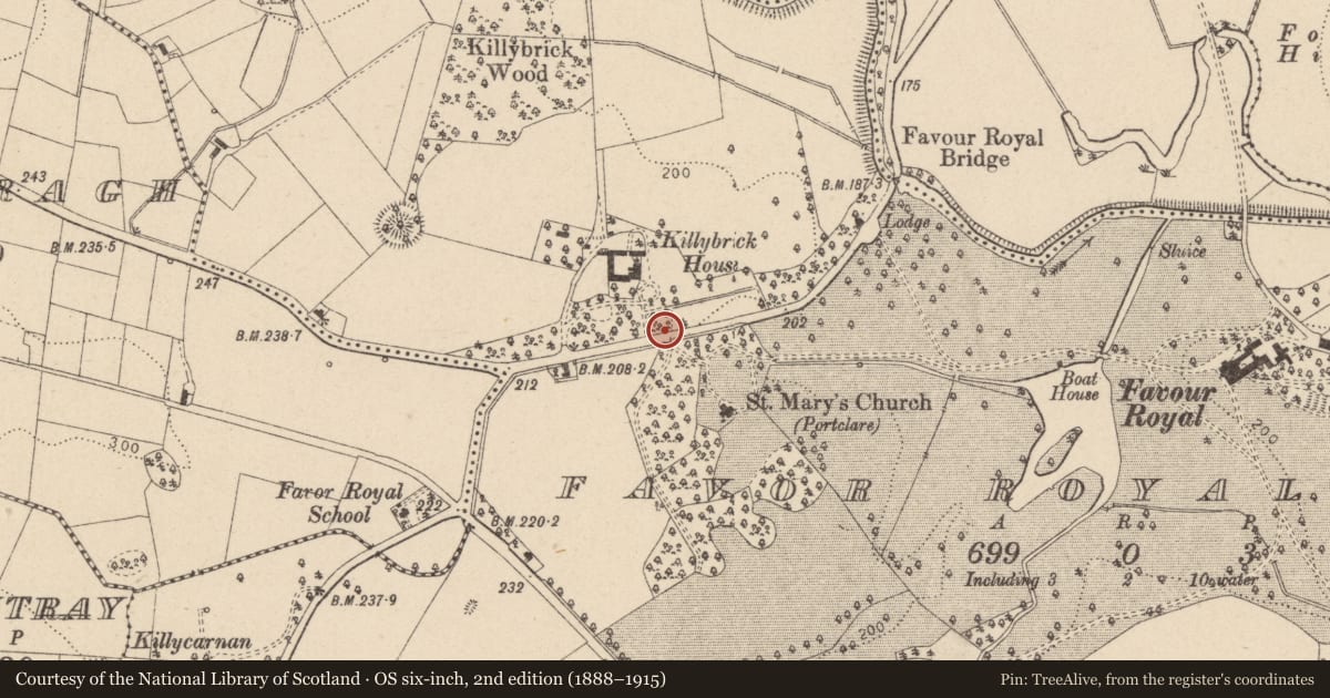 Ordnance Survey six-inch map, 2nd edition (1888–1915) covering the location of Entrance Gates Of St. Mary'S Church, Mid Ulster, with a pin at the register's coordinates