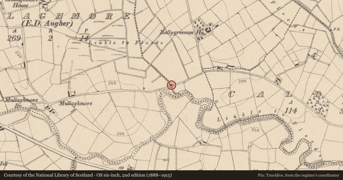 Ordnance Survey six-inch map, 2nd edition (1888–1915) covering the location of Mullaghmore Bridge, Mid Ulster, with a pin at the register's coordinates
