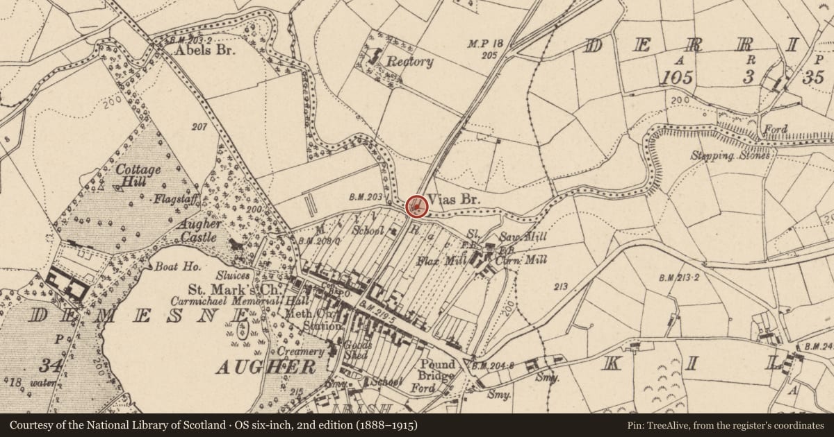 Ordnance Survey six-inch map, 2nd edition (1888–1915) covering the location of Vias Bridge, Mid Ulster, with a pin at the register's coordinates