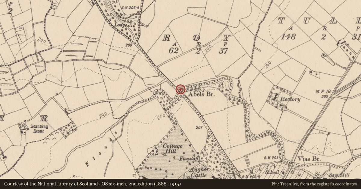 Ordnance Survey six-inch map, 2nd edition (1888–1915) covering the location of Abels Bridge, Mid Ulster, with a pin at the register's coordinates