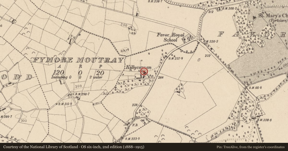 Ordnance Survey six-inch map, 2nd edition (1888–1915) covering the location of Killycarnan House, Mid Ulster, with a pin at the register's coordinates