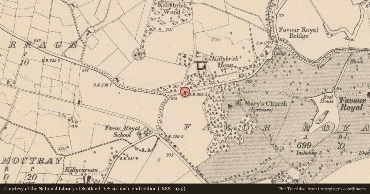 Ordnance Survey six-inch map, 2nd edition (1888–1915) covering the location of 150 Favour Royal Road, Mid Ulster, with a pin at the register's coordinates