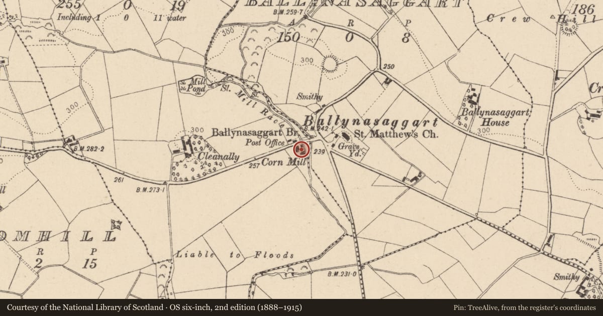 Ordnance Survey six-inch map, 2nd edition (1888–1915) covering the location of Cleanally Corn Mill, Mid Ulster, with a pin at the register's coordinates