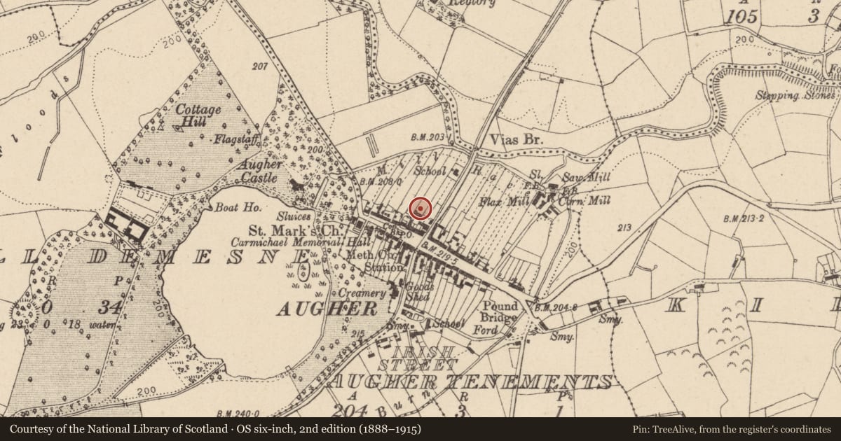 Ordnance Survey six-inch map, 2nd edition (1888–1915) covering the location of Outbuildings To Rear Of Somerville House, Mid Ulster, with a pin at the register's coordinates