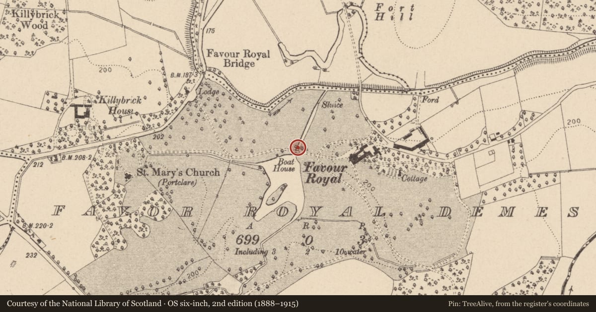 Ordnance Survey six-inch map, 2nd edition (1888–1915) covering the location of The W bridge, Favour Royal, Mid Ulster, with a pin at the register's coordinates
