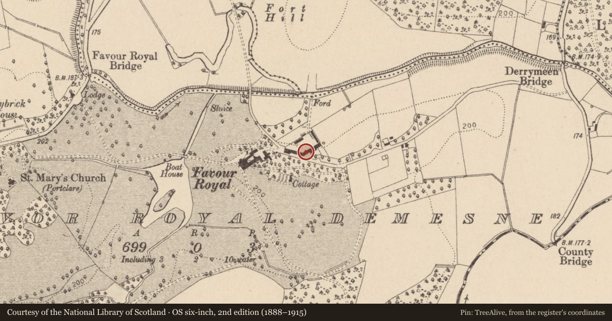 Ordnance Survey six-inch map, 2nd edition (1888–1915) covering the location of Outer farm yard, Favour Royal, Mid Ulster, with a pin at the register's coordinates