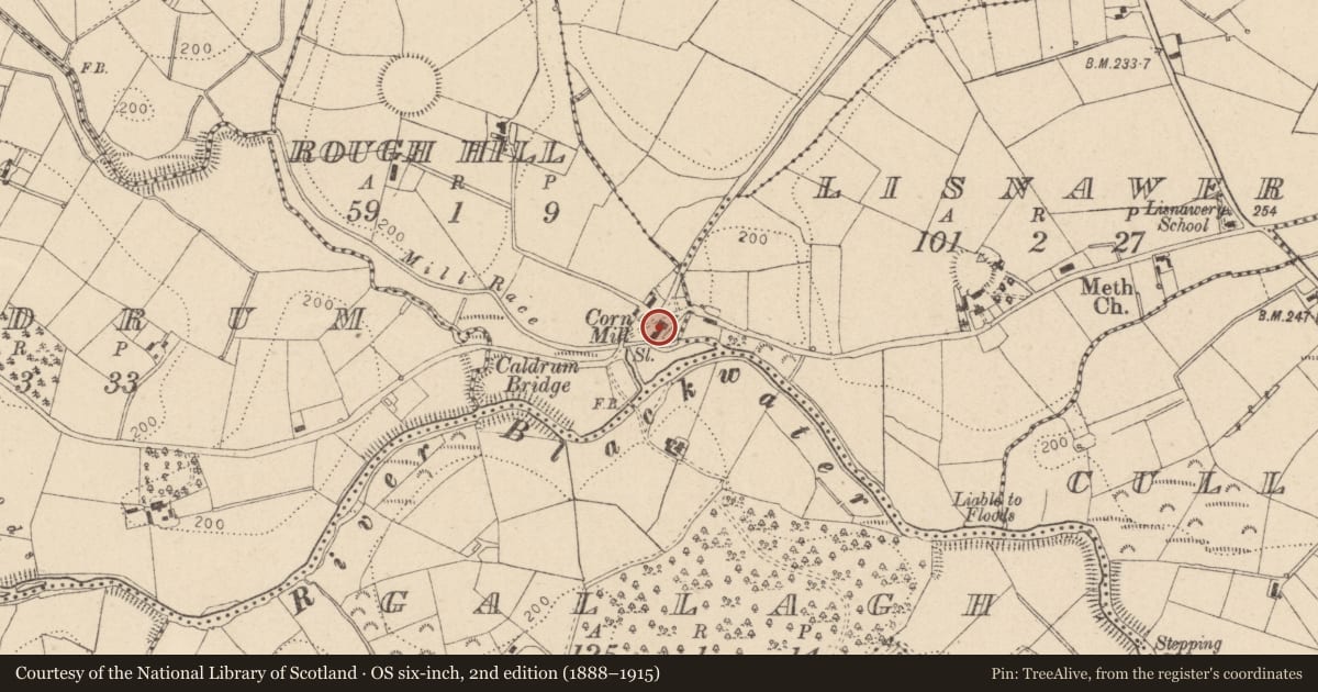 Ordnance Survey six-inch map, 2nd edition (1888–1915) covering the location of Corn Mill, Mid Ulster, with a pin at the register's coordinates