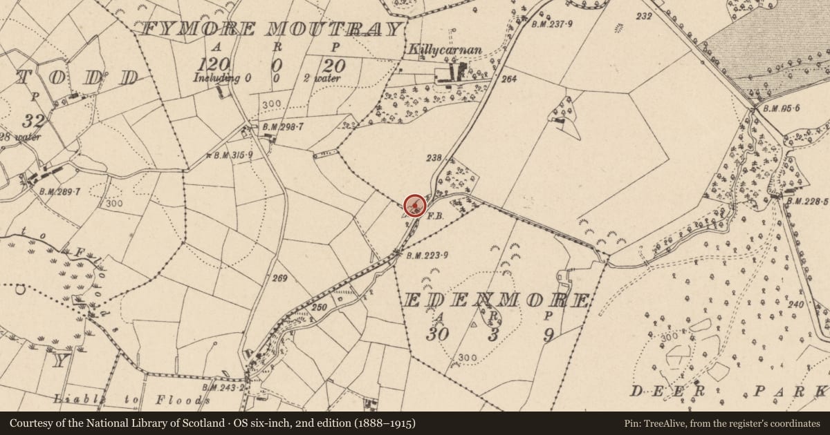 Ordnance Survey six-inch map, 2nd edition (1888–1915) covering the location of 13 Altadaven Road, Mid Ulster, with a pin at the register's coordinates