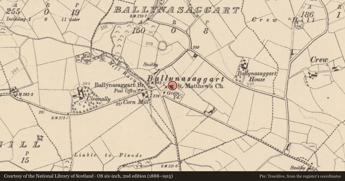 Ordnance Survey six-inch map, 2nd edition (1888–1915) covering the location of St. Matthew'S C OF I CHURCH, Mid Ulster, with a pin at the register's coordinates