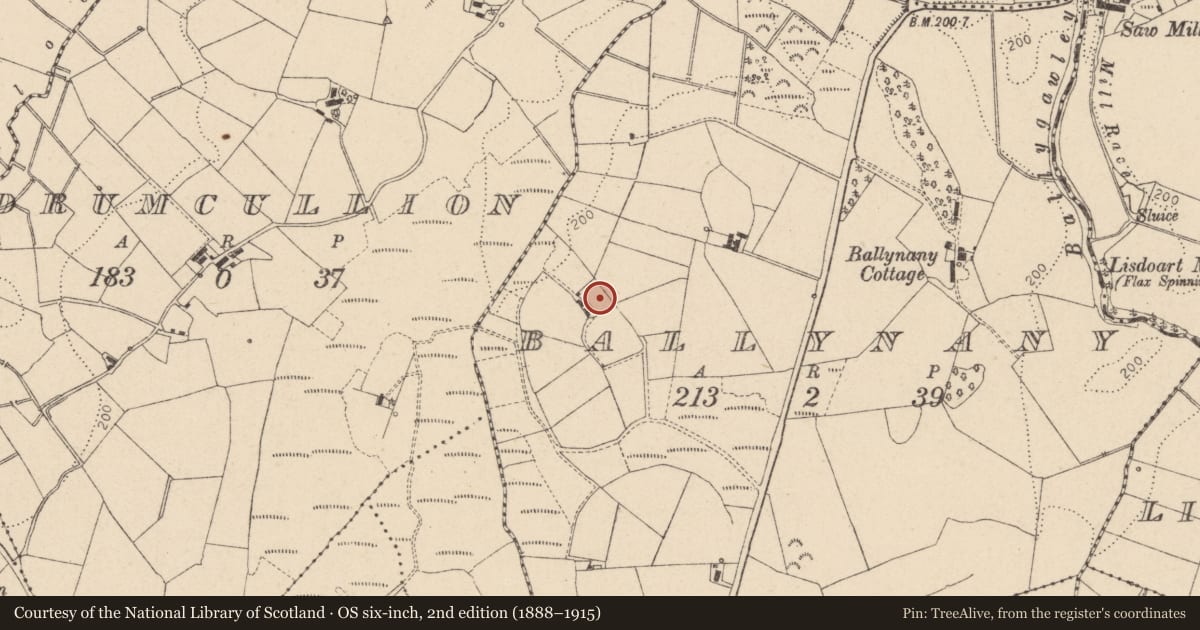 Ordnance Survey six-inch map, 2nd edition (1888–1915) covering the location of 35 Ballynanny Road, Ballynany, Mid Ulster, with a pin at the register's coordinates