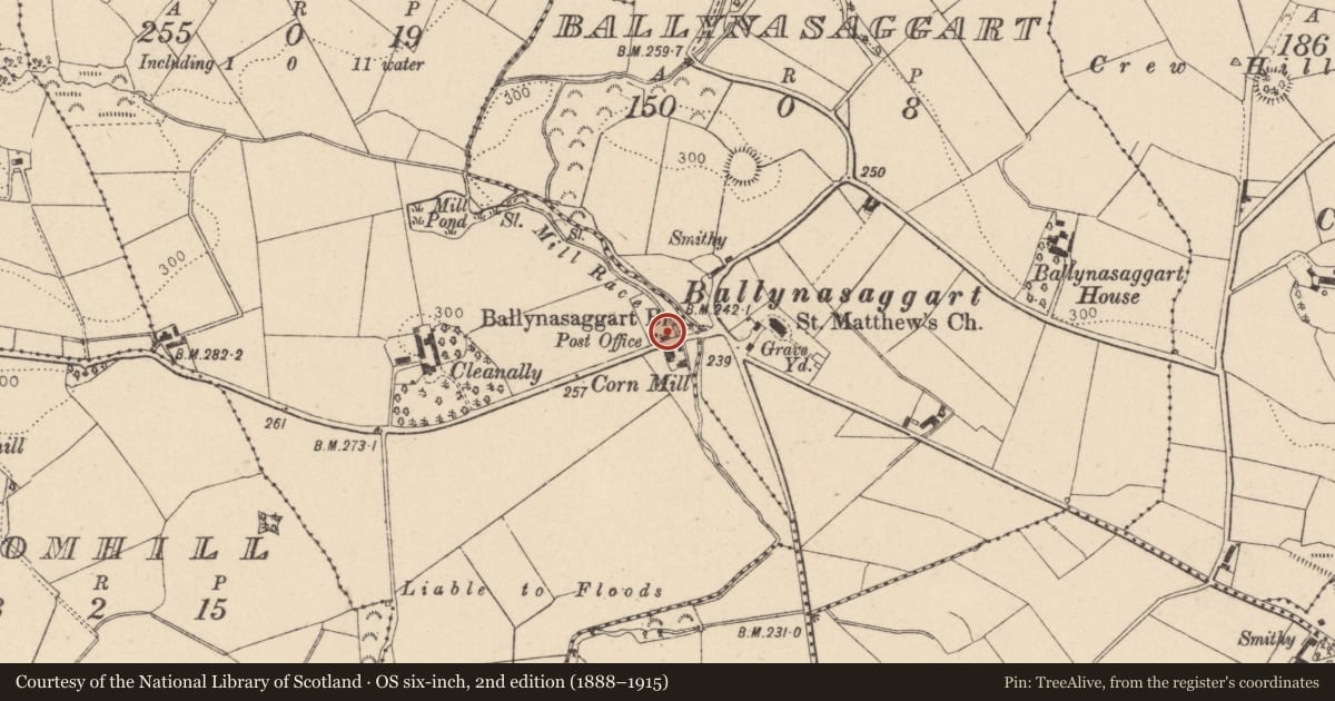 Ordnance Survey six-inch map, 2nd edition (1888–1915) covering the location of 98 Glenhoy Rd Ballygawley Co. Tyrone BT70 2AY, Cleanally, Mid Ulster, with a pin at the register's coordinates