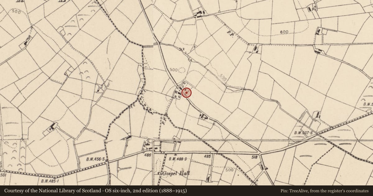 Ordnance Survey six-inch map, 2nd edition (1888–1915) covering the location of Telephone Kiosk, Beltany, with a pin at the register's coordinates