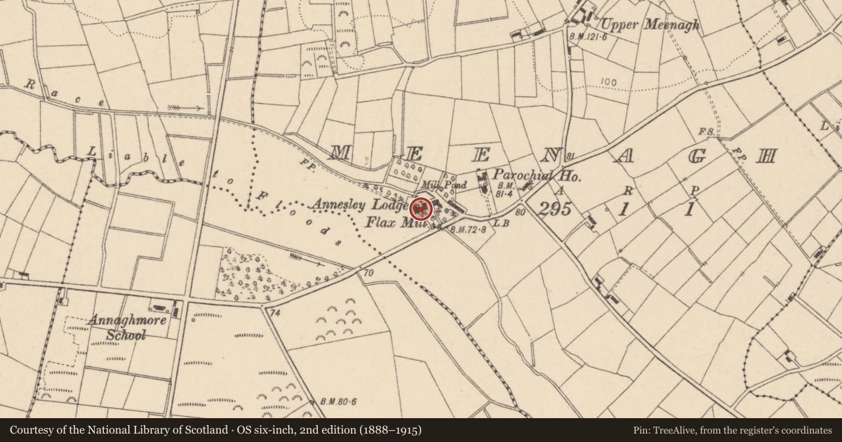 Ordnance Survey six-inch map, 2nd edition (1888–1915) covering the location of Annesley Lodge, Mid Ulster, with a pin at the register's coordinates