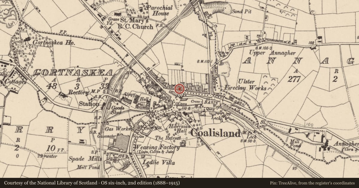 Ordnance Survey six-inch map, 2nd edition (1888–1915) covering the location of 24-26 Main St., Mid Ulster, with a pin at the register's coordinates