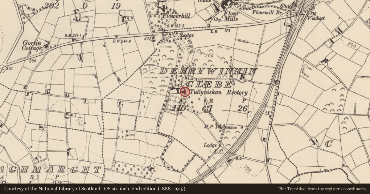 Ordnance Survey six-inch map, 2nd edition (1888–1915) covering the location of Derrywinnin House, Mid Ulster, with a pin at the register's coordinates