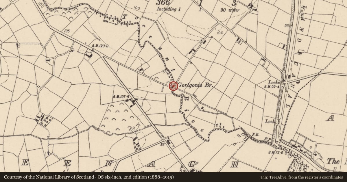 Ordnance Survey six-inch map, 2nd edition (1888–1915) covering the location of Gortgonis Bridge, Mid Ulster, with a pin at the register's coordinates
