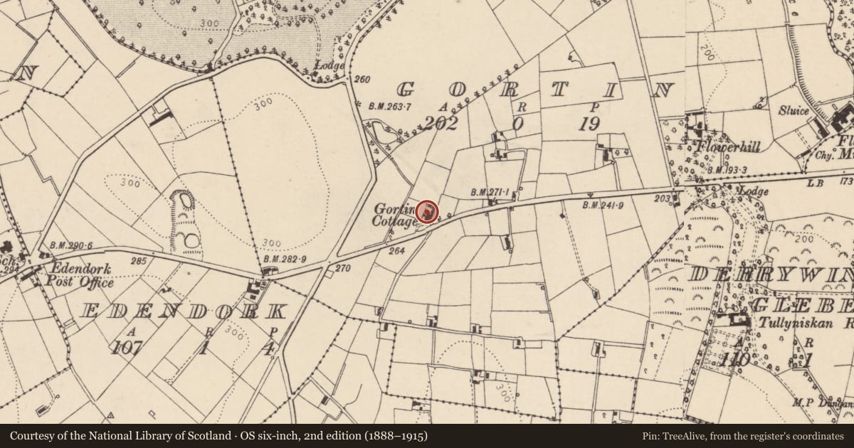 Ordnance Survey six-inch map, 2nd edition (1888–1915) covering the location of ROSEDALE, Mid Ulster, with a pin at the register's coordinates