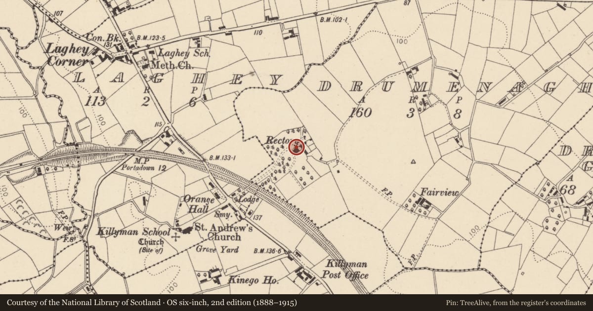 Ordnance Survey six-inch map, 2nd edition (1888–1915) covering the location of Killyman Rectory, Mid Ulster, with a pin at the register's coordinates