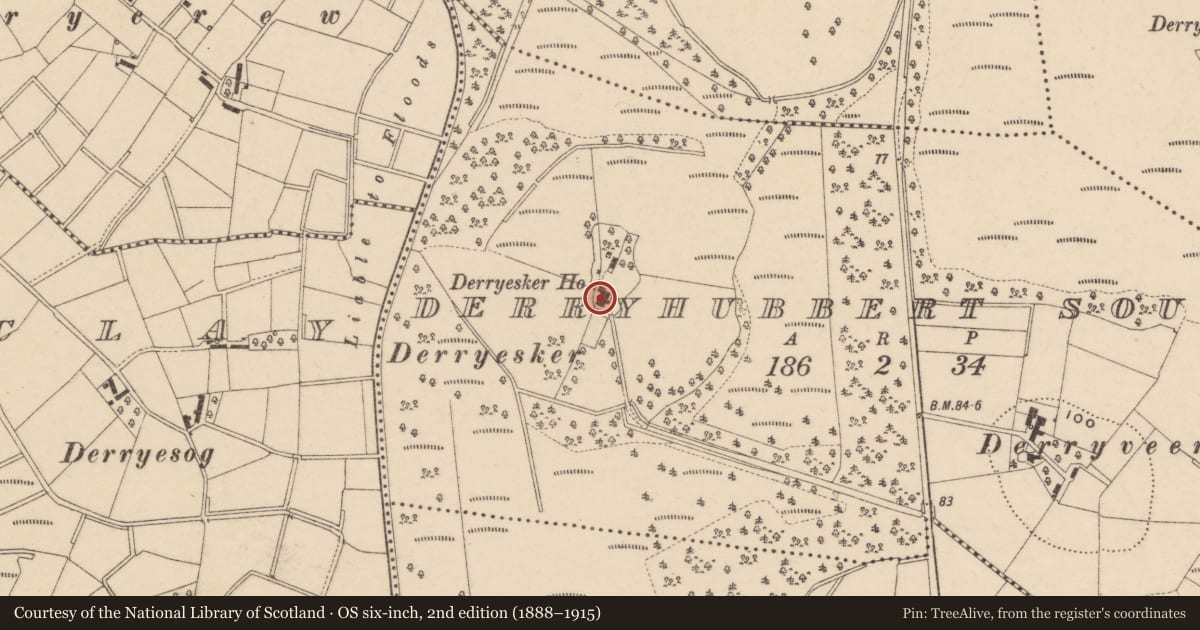 Ordnance Survey six-inch map, 2nd edition (1888–1915) covering the location of Derryesker House, Armagh City, Banbridge and Craigavon, with a pin at the register's coordinates
