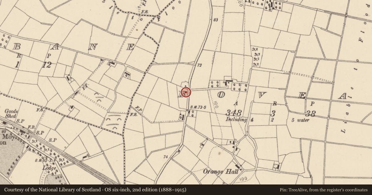 Ordnance Survey six-inch map, 2nd edition (1888–1915) covering the location of Telephone Kiosk at Bovean Cottages, Mid Ulster, with a pin at the register's coordinates