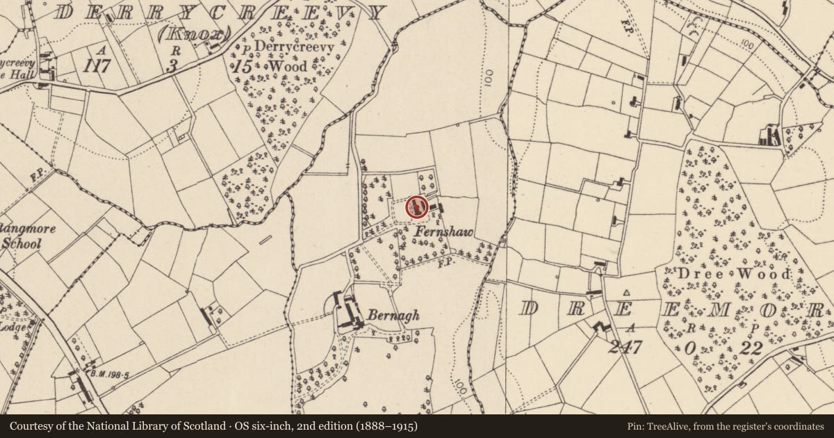 Ordnance Survey six-inch map, 2nd edition (1888–1915) covering the location of FERNSHAW, Mid Ulster, with a pin at the register's coordinates