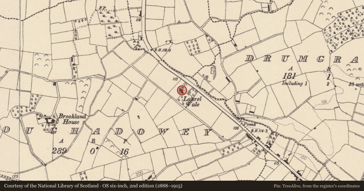 Ordnance Survey six-inch map, 2nd edition (1888–1915) covering the location of Laurel Vale, Mid Ulster, with a pin at the register's coordinates