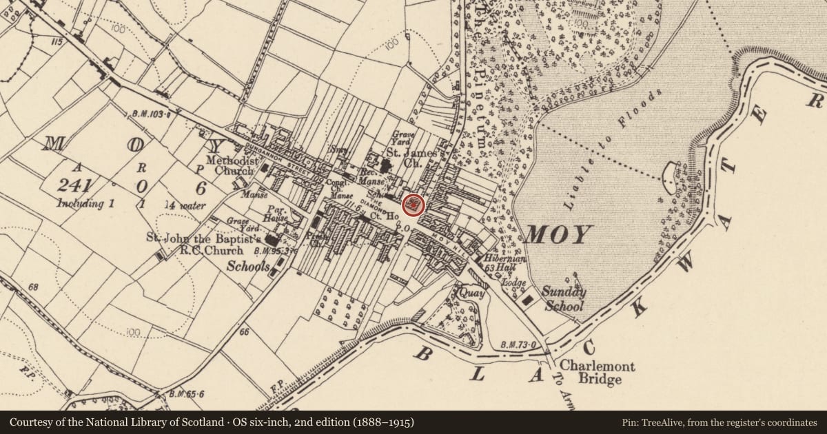 Ordnance Survey six-inch map, 2nd edition (1888–1915) covering the location of Merrion House, Mid Ulster, with a pin at the register's coordinates