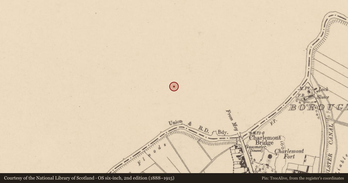 Ordnance Survey six-inch map, 2nd edition (1888–1915) covering the location of 7 The Square, Mid Ulster, with a pin at the register's coordinates