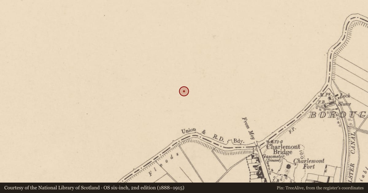 Ordnance Survey six-inch map, 2nd edition (1888–1915) covering the location of Tamney'S Public House, Mid Ulster, with a pin at the register's coordinates