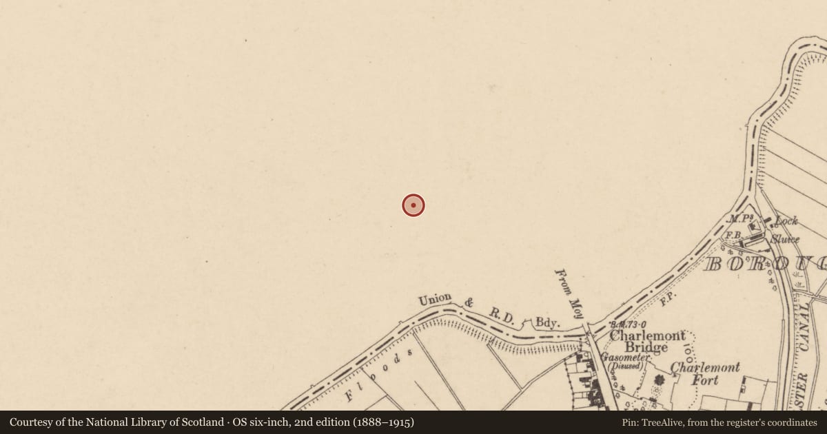 Ordnance Survey six-inch map, 2nd edition (1888–1915) covering the location of Ulster Bank, Mid Ulster, with a pin at the register's coordinates
