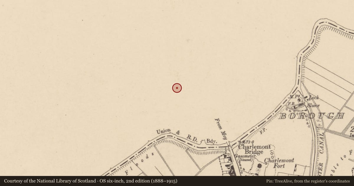 Ordnance Survey six-inch map, 2nd edition (1888–1915) covering the location of 9A Killyman St., Mid Ulster, with a pin at the register's coordinates