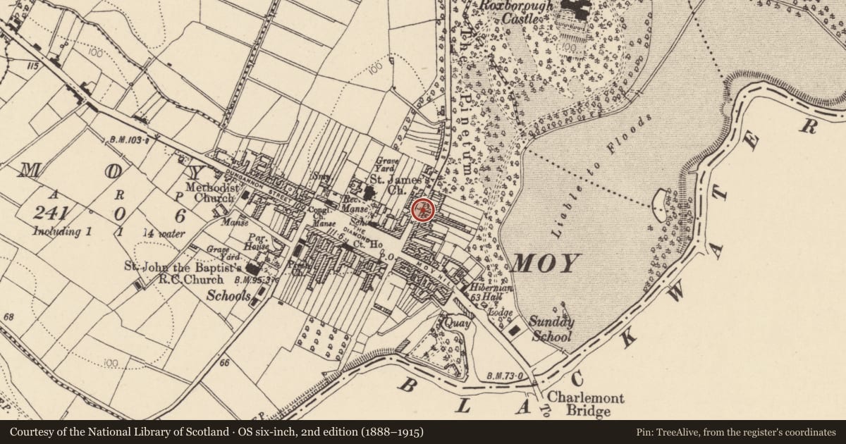 Ordnance Survey six-inch map, 2nd edition (1888–1915) covering the location of 31 Killyman St., Mid Ulster, with a pin at the register's coordinates