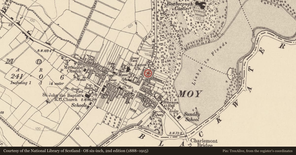 Ordnance Survey six-inch map, 2nd edition (1888–1915) covering the location of 33 Killyman St., Mid Ulster, with a pin at the register's coordinates