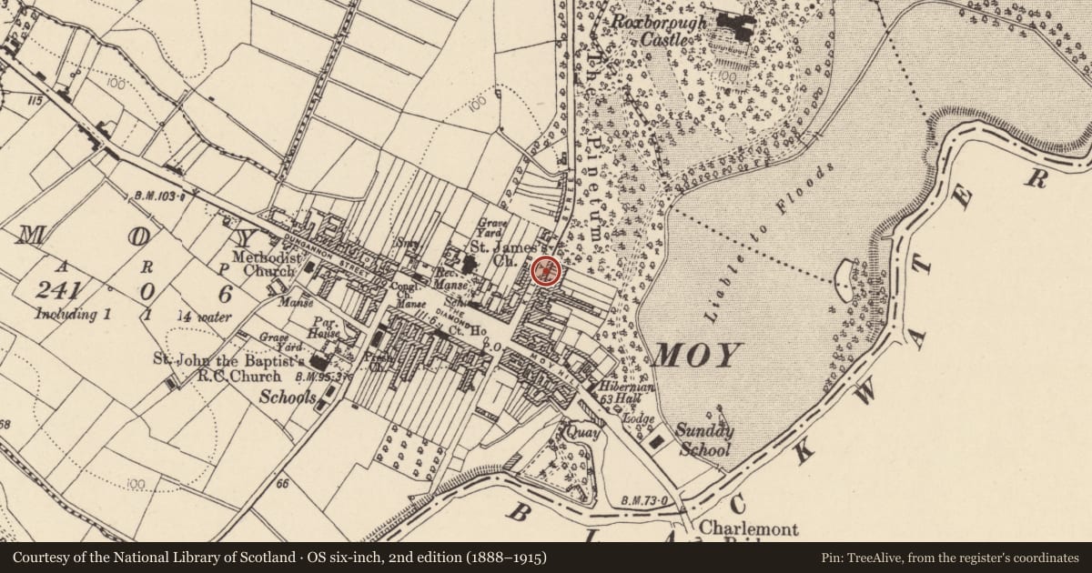 Ordnance Survey six-inch map, 2nd edition (1888–1915) covering the location of 35 Killyman St., Mid Ulster, with a pin at the register's coordinates