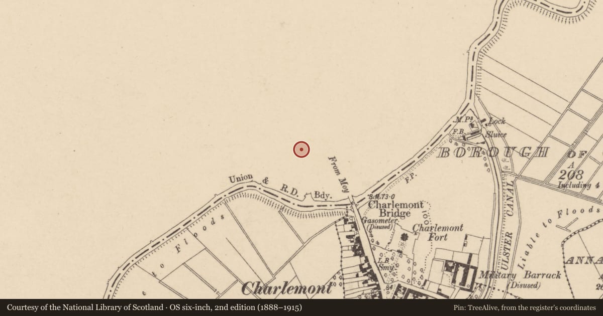 Ordnance Survey six-inch map, 2nd edition (1888–1915) covering the location of 39 Charlemont St., Mid Ulster, with a pin at the register's coordinates
