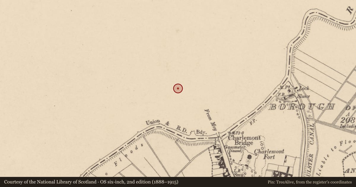 Ordnance Survey six-inch map, 2nd edition (1888–1915) covering the location of 24 Charlemont St., Mid Ulster, with a pin at the register's coordinates