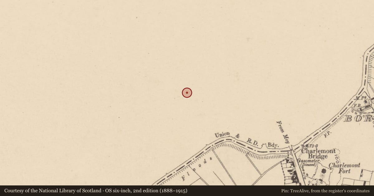Ordnance Survey six-inch map, 2nd edition (1888–1915) covering the location of Presbyterian Church, Mid Ulster, with a pin at the register's coordinates