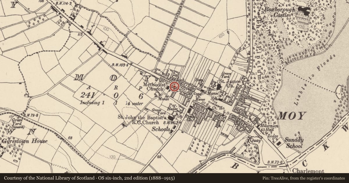 Ordnance Survey six-inch map, 2nd edition (1888–1915) covering the location of 12 Dungannon St., Mid Ulster, with a pin at the register's coordinates