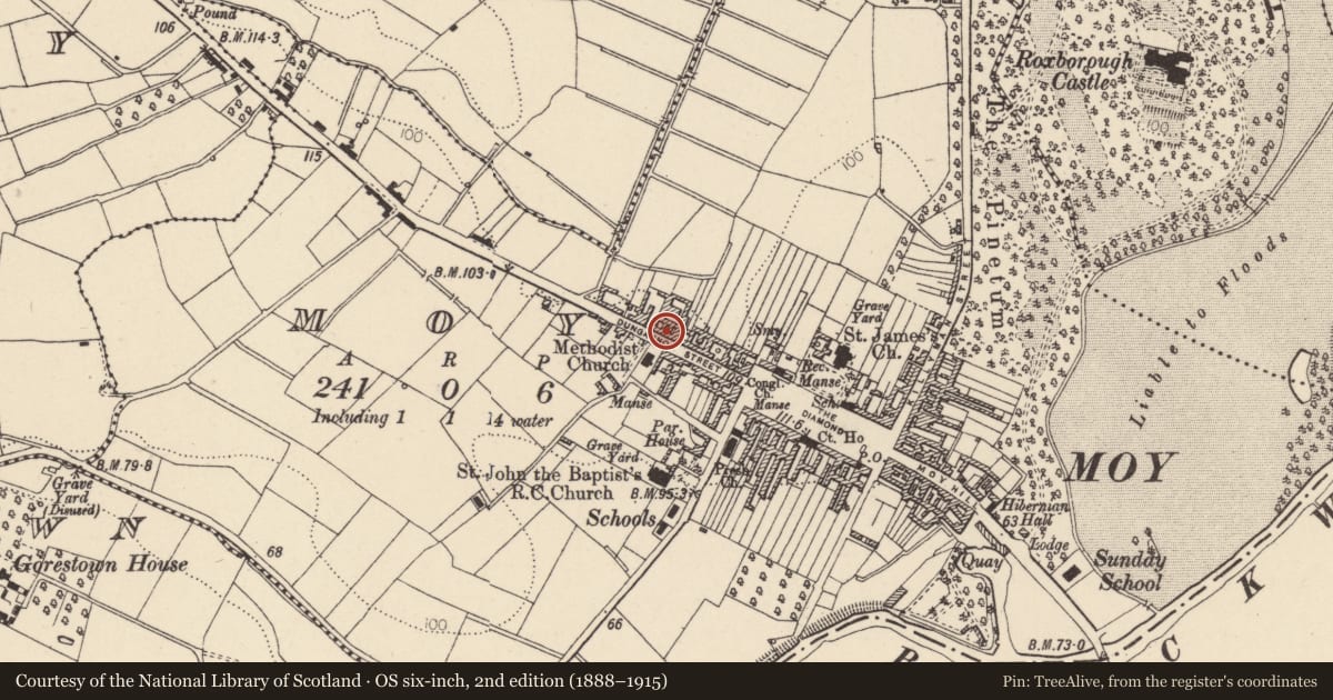 Ordnance Survey six-inch map, 2nd edition (1888–1915) covering the location of 31 Dungannon St., Mid Ulster, with a pin at the register's coordinates